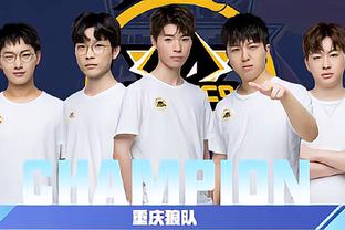 个篮板
